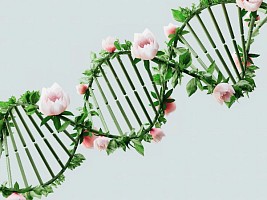 Эпигенетика: как уход за кожей и здоровый образ жизни могут повлиять на гены