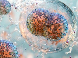 В чем разница между ЗППП и ИППП: разбираемся в терминах с экспертом