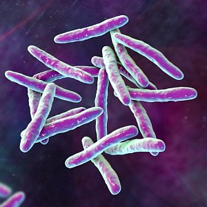 Коварная палочка: что нужно знать о туберкулезе и как себя защитить