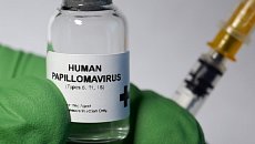 Мозг что это мышца или нет. Смотреть фото Мозг что это мышца или нет. Смотреть картинку Мозг что это мышца или нет. Картинка про Мозг что это мышца или нет. Фото Мозг что это мышца или нет Мозг что это мышца или нет. Смотреть фото Мозг что это мышца или нет. Смотреть картинку Мозг что это мышца или нет. Картинка про Мозг что это мышца или нет. Фото Мозг что это мышца или нет