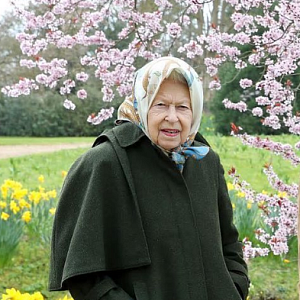 Как 95-летняя королева Елизавета II лечится от коронавируса