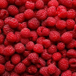 Малина против старения: горсть ягод каждый день продлит молодость