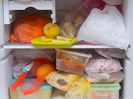 Морозилка — не стерилизатор: правда ли, что холод убивает микробы в продуктах