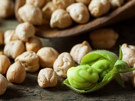 Белок без мяса: откройте для себя 7 растительных источников протеина