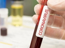 В США проводят  испытания вакцины против коронавируса
