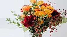 paba что это такое. Смотреть фото paba что это такое. Смотреть картинку paba что это такое. Картинка про paba что это такое. Фото paba что это такое