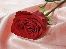5 простых, но действенных способов разнообразить секс (доказано на практике)
