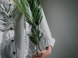 Включайте увлажнитель: 5 болезней, когда он нужен