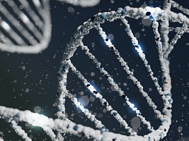Гены виноваты: какие заболевания и привычки передаются на генетическом уровне