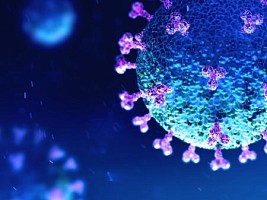 Исследователи определили, в каких случаях появляется иммунитет к коронавирусу