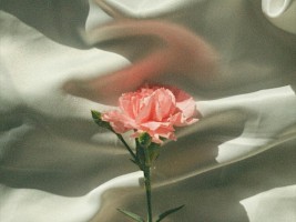 Лабиопластика — для здоровья, эстетики и  удовольствия 