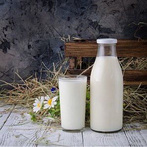 Козье или коровье? Какое молоко на самом деле полезнее   
