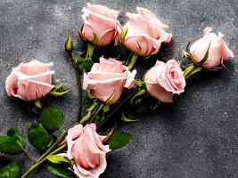 Жизнь продолжается: какая поддержка и помощь важна после потери близкого