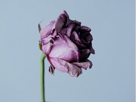 6 привычек, которые портят нам жизнь: как от них избавиться