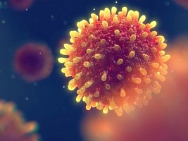 Гепатит: виды, симптомы, лечение и прогнозы воспалительного заболевания печени