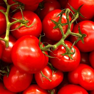 8 продуктов, повышающих фертильность у женщин и мужчин