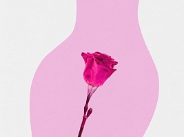 Коррекция холма Венеры, или монспластика: как вернуть привлекательность зоне лобка