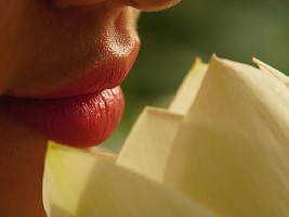 Красит нежным цветом: какие помады помогут ухаживать за губами