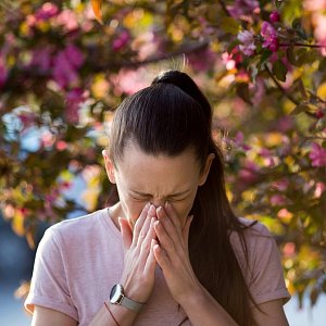 Аллергия на пыльцу: 5 способов облегчить себе жизнь Аллергия на пыльцу: 5 способов облегчить себе жизнь