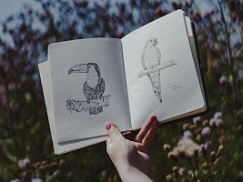 Человек и природа: 7 книг о мире животных и чему он может научить мир людей