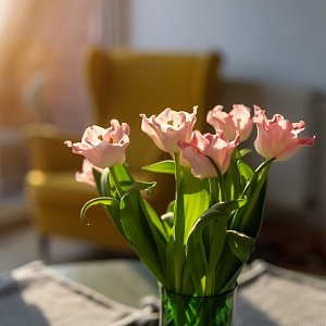 Всё начинает проясняться: гороскоп на неделю с 9 по 15 марта