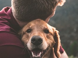 Собачье дело: чем может заразить домашний пес и как обезопасить себя и питомца 