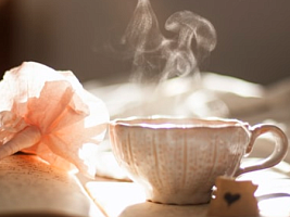 От тошноты, бессонницы и симптомов ПМС: 12 трав, которые нужно добавлять в чай