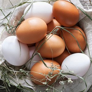 Какие яйца полезнее: коричневые или белые? Какие яйца полезнее: коричневые или белые?