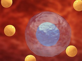 На чистую воду: почему пора перестать бояться свободных радикалов