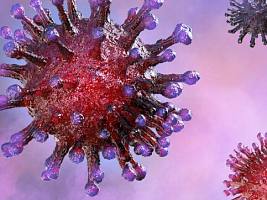 Мнение китайских ученых: коронавирус может выживать в кислой среде желудка