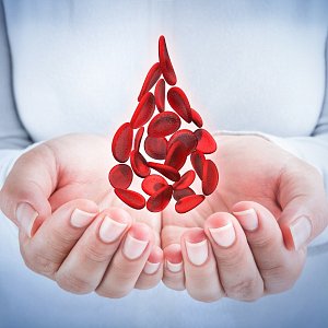 Родная кровь: какие проблемы решает плазмотерапия