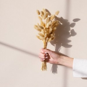 Тельцы избавятся от вредных привычек, а Скорпионов могут обмануть: гороскоп для всех знаков с 18 по 24 октября Тельцы избавятся от вредных привычек, а Скорпионов могут обмануть: гороскоп для всех знаков с 18 по 24 октября