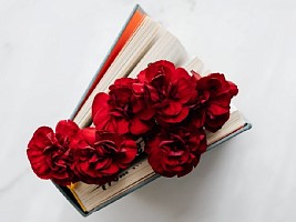 Если в сердце живет любовь: 7 книг для романтичного настроения