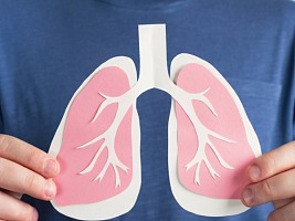 Микоплазменная пневмония в России: чем на самом деле болеют многие