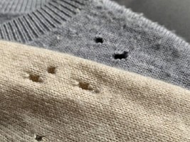 Моль и боль: как защитить верхнюю одежду из меха и шерсти летом