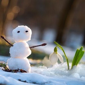 Следить за давлением и больше гулять: гороскоп здоровья на неделю с 16 по 22 марта