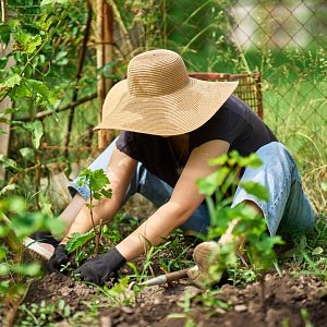 От паразитов до остеохондроза: какие болезни можно подхватить на даче