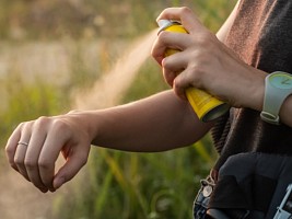 Как защититься от комаров во время дачного отдыха?