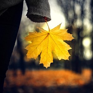 Сезонная депрессия: при чем тут солнечный свет, рассказывает психиатр 