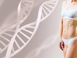 ДНК-диета: виды, недостатки и реальная эффективность